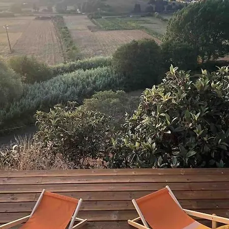 Hotel White Hut 4*